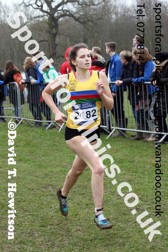 Womens under-17s Inter Counties Cross Country, Prestwold Hall, Loughborough. Photo: David T. Hewitson/Sports for All Pics